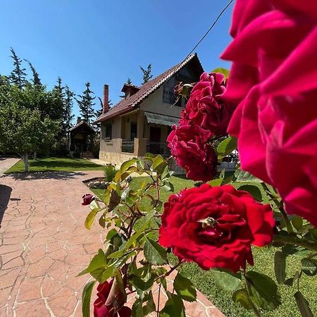 Villa Katerina Nea Kallikrateia Εξωτερικό φωτογραφία