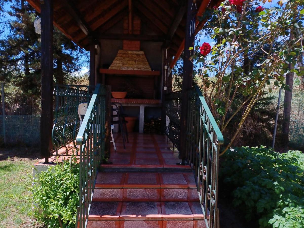 Villa Katerina Nea Kallikrateia Εξωτερικό φωτογραφία