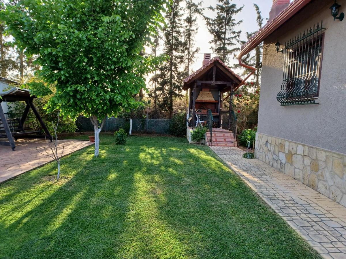 Villa Katerina Nea Kallikrateia Εξωτερικό φωτογραφία