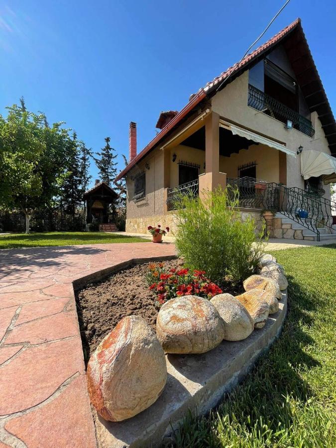 Villa Katerina Nea Kallikrateia Εξωτερικό φωτογραφία