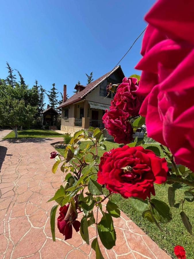 Villa Katerina Nea Kallikrateia Εξωτερικό φωτογραφία