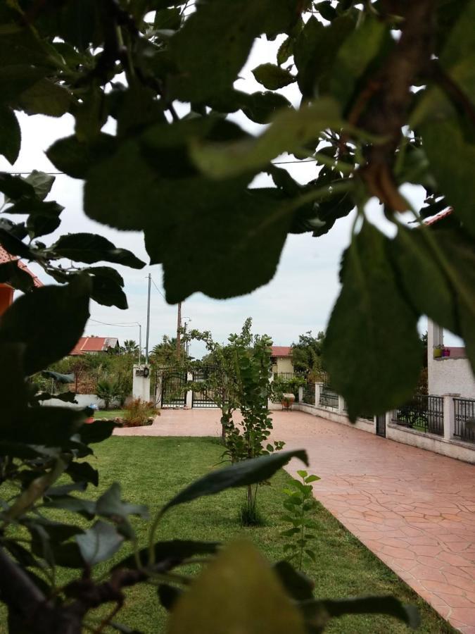 Villa Katerina Nea Kallikrateia Εξωτερικό φωτογραφία
